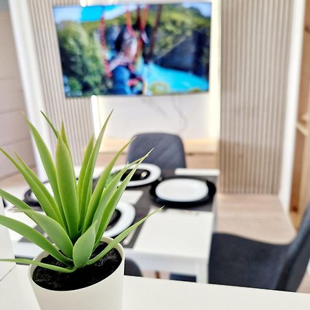 Cosy Novi Sad Loft, Self Check-In Διαμέρισμα Εξωτερικό φωτογραφία